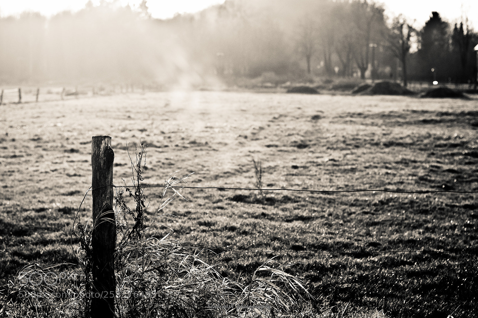 Fujifilm X-E2 sample photo. Good morning photography