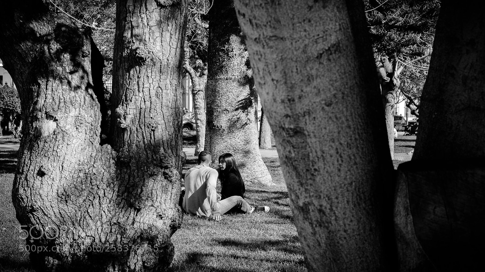 Fujifilm X-T1 sample photo. Among trees photography