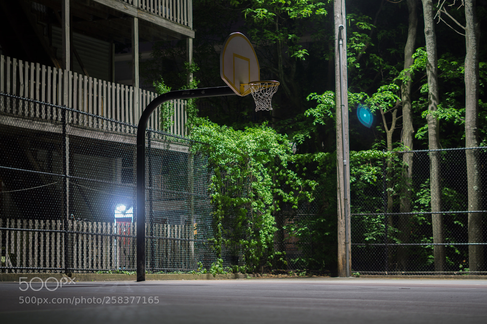 Sony a6000 sample photo. Dsc photography