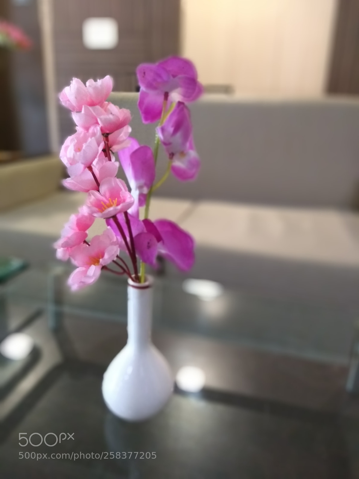 Motorola Moto G (5S) Plus sample photo. Untitled photography