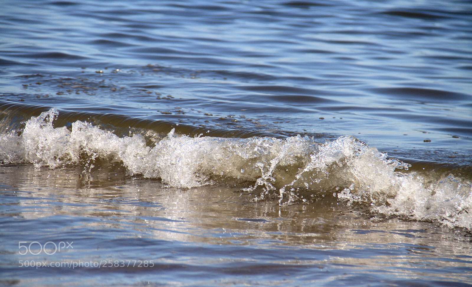 Canon EOS 7D sample photo. . . . photography