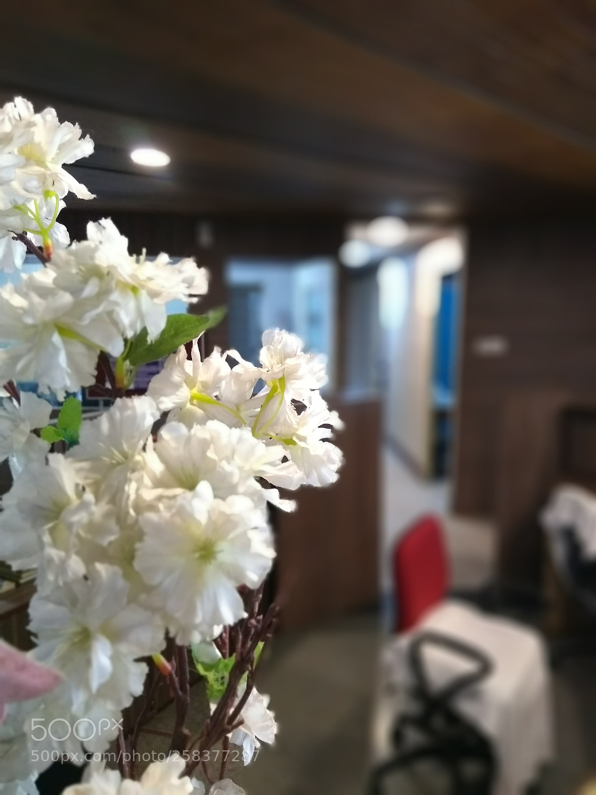 Motorola Moto G (5S) Plus sample photo. Untitled photography
