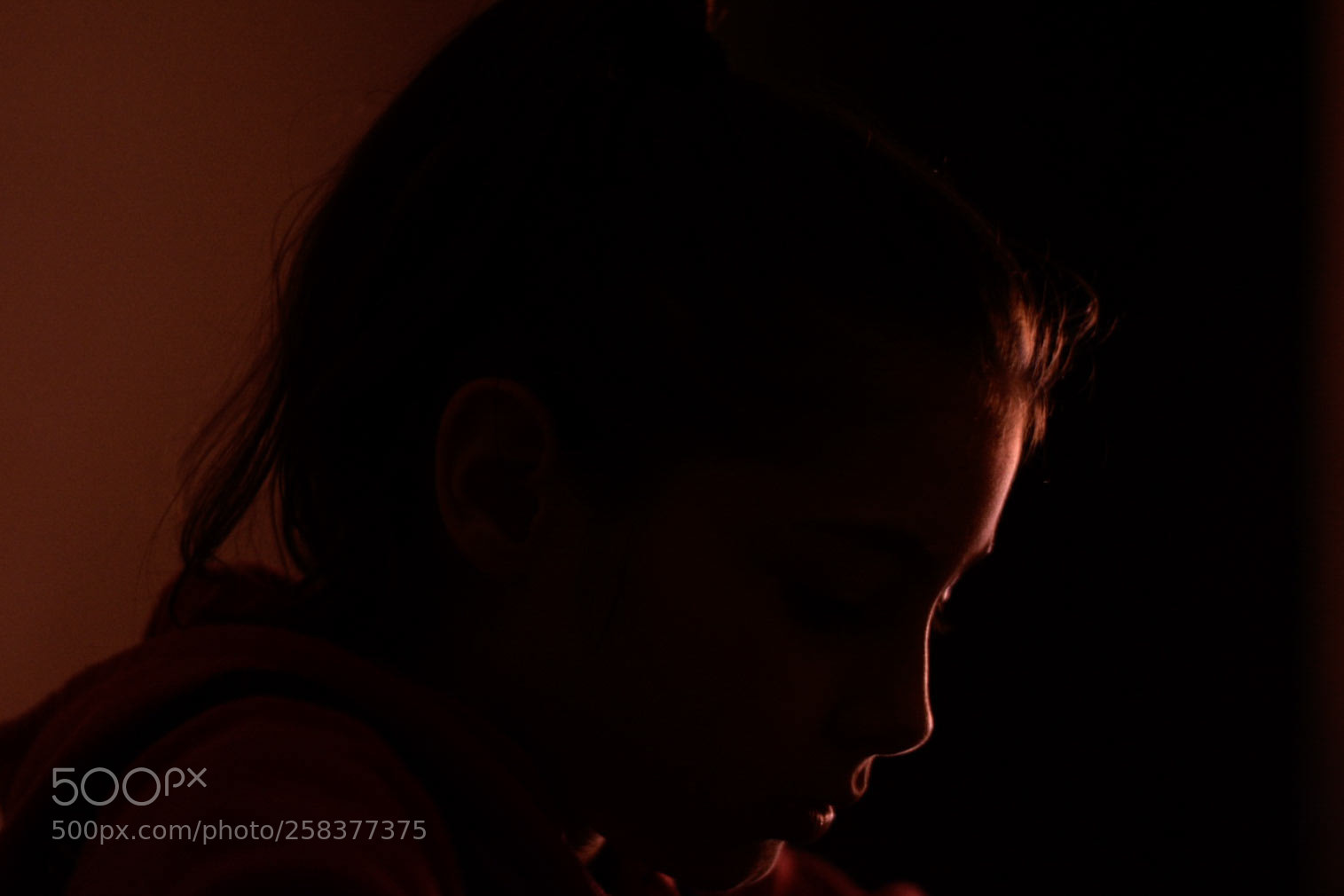 Nikon D5300 sample photo. In the light of photography