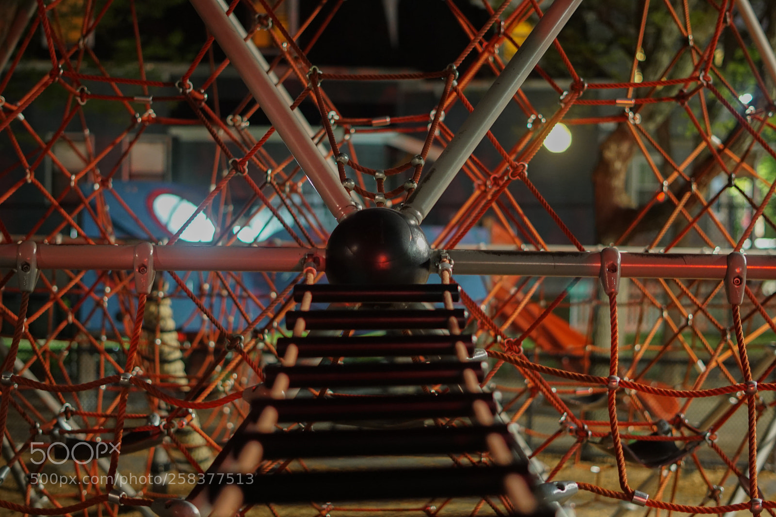 Sony a6000 sample photo. Dsc photography