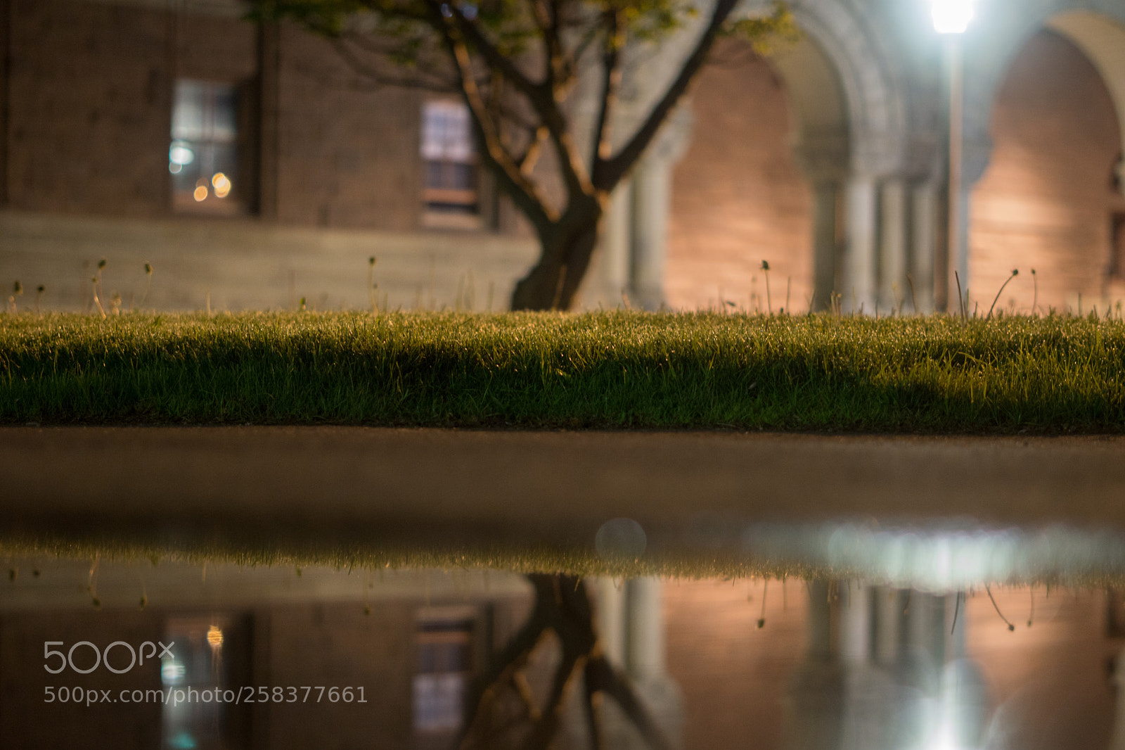 Sony a6000 sample photo. Dsc photography