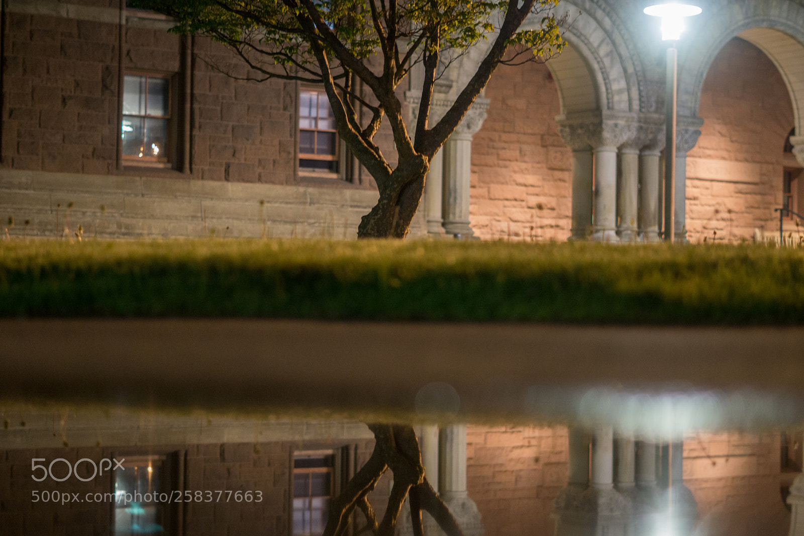 Sony a6000 sample photo. Dsc photography