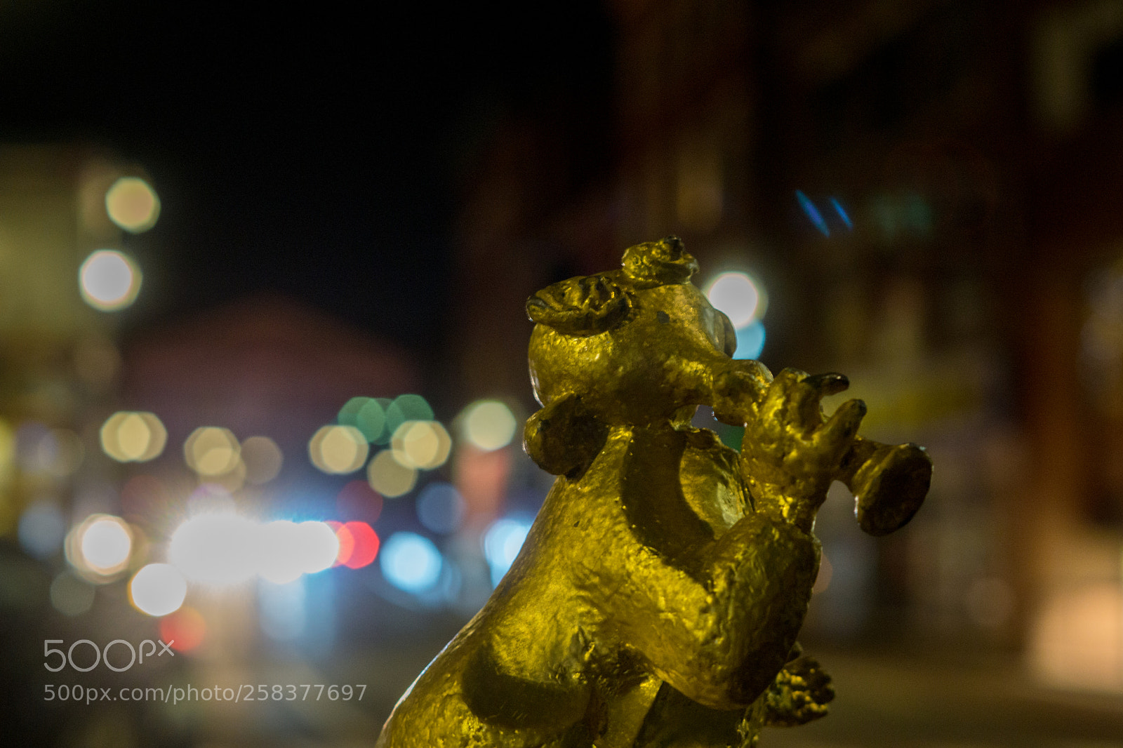 Sony a6000 sample photo. Dsc photography