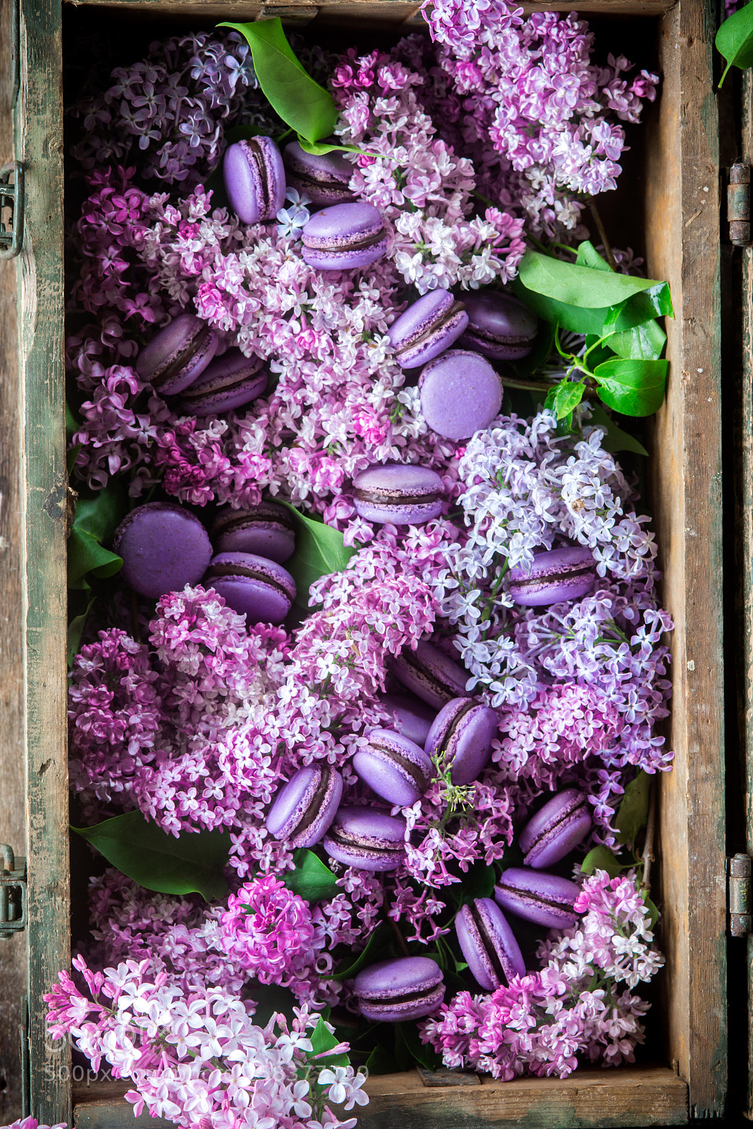 Nikon D600 sample photo. Lilacs and macarons photography