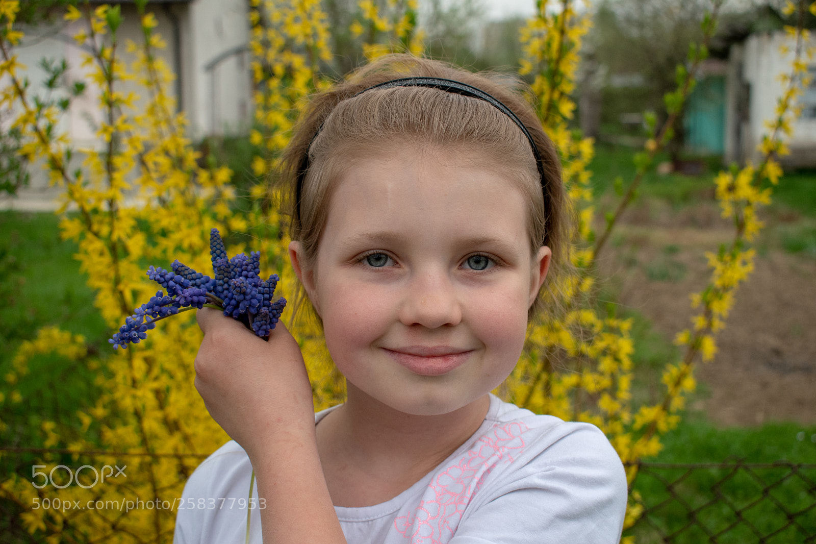 Nikon D5600 sample photo. Dsc photography