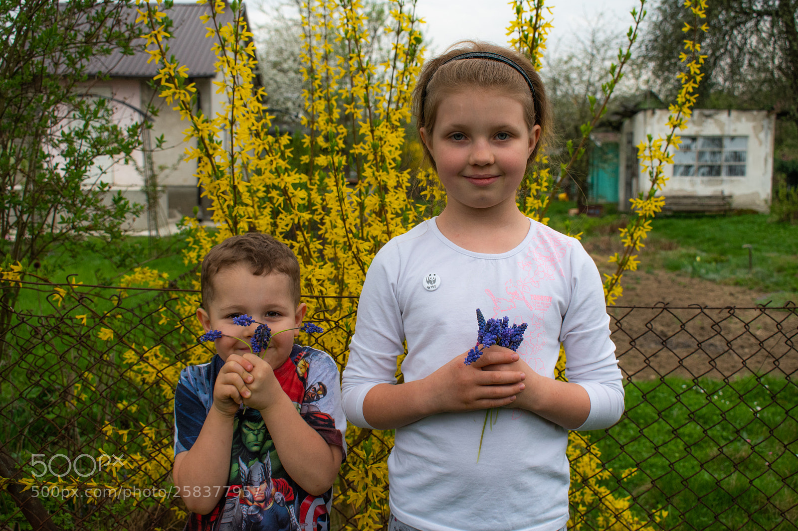 Nikon D5600 sample photo. Dsc photography