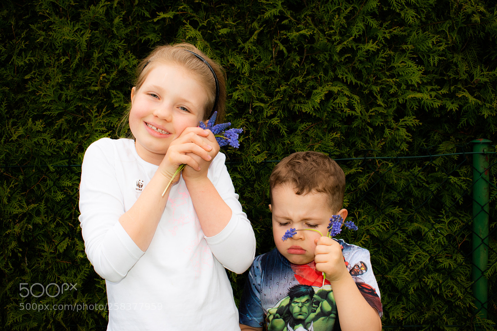 Nikon D5600 sample photo. Dsc photography