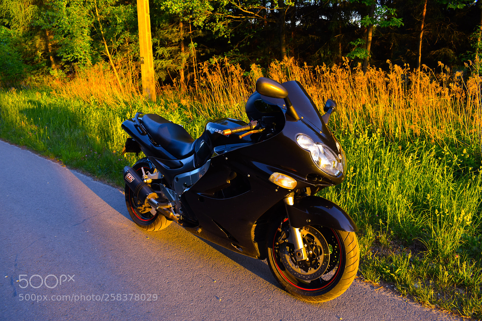 Nikon D5600 sample photo. Dsc photography