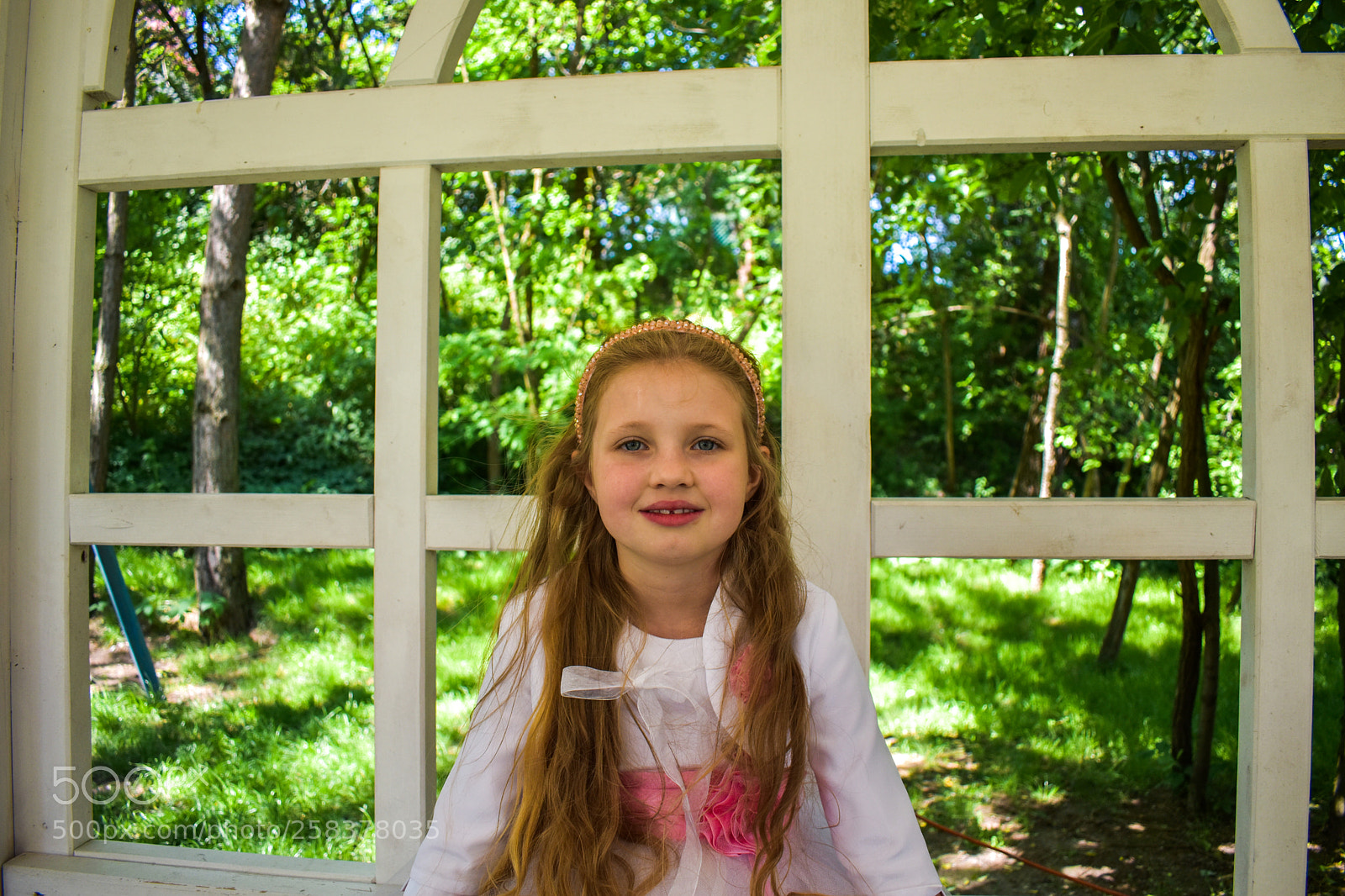 Nikon D5600 sample photo. Dsc photography