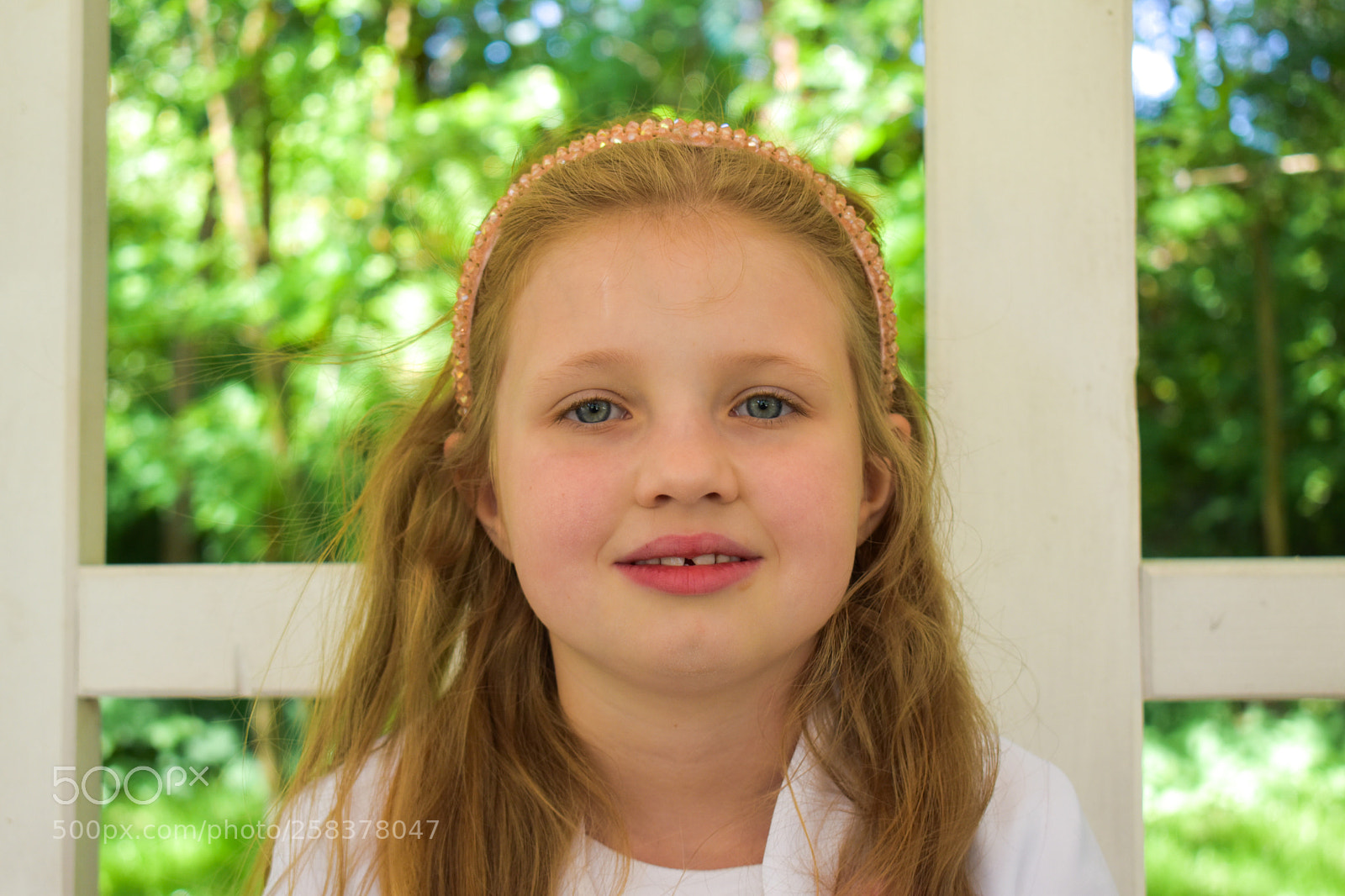 Nikon D5600 sample photo. Dsc photography