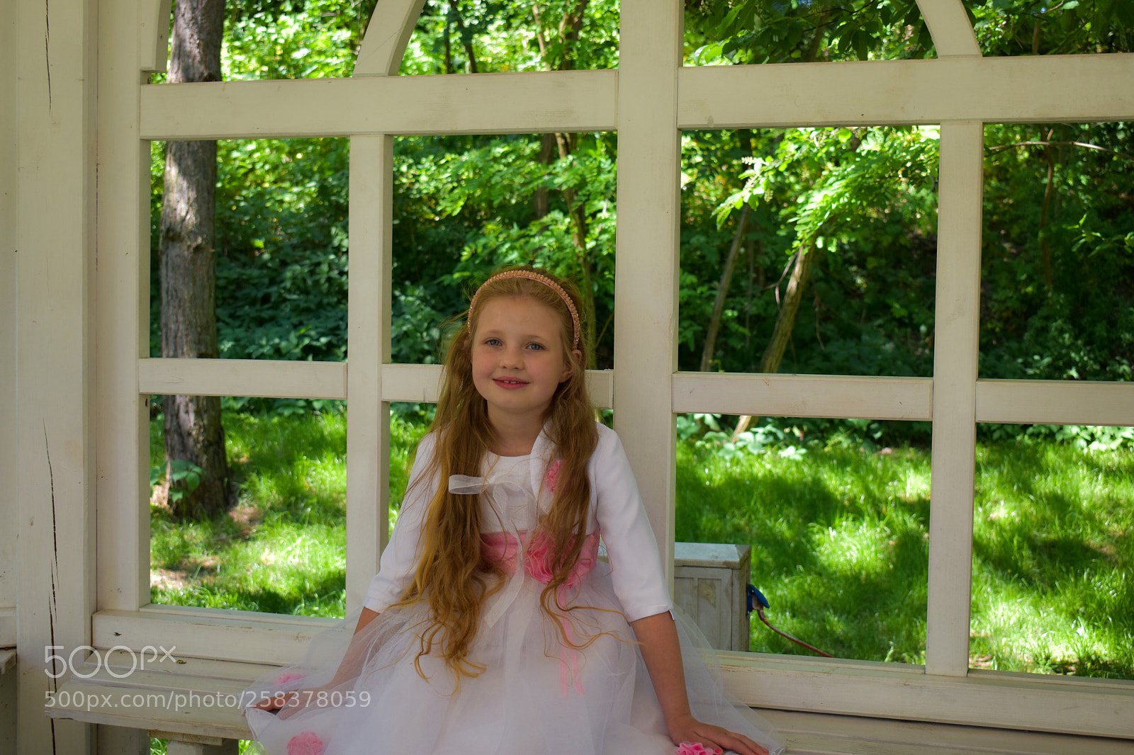 Nikon D5600 sample photo. Dsc photography