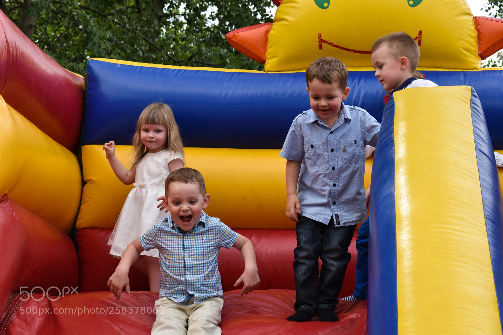 Nikon D5600 sample photo. Dsc photography