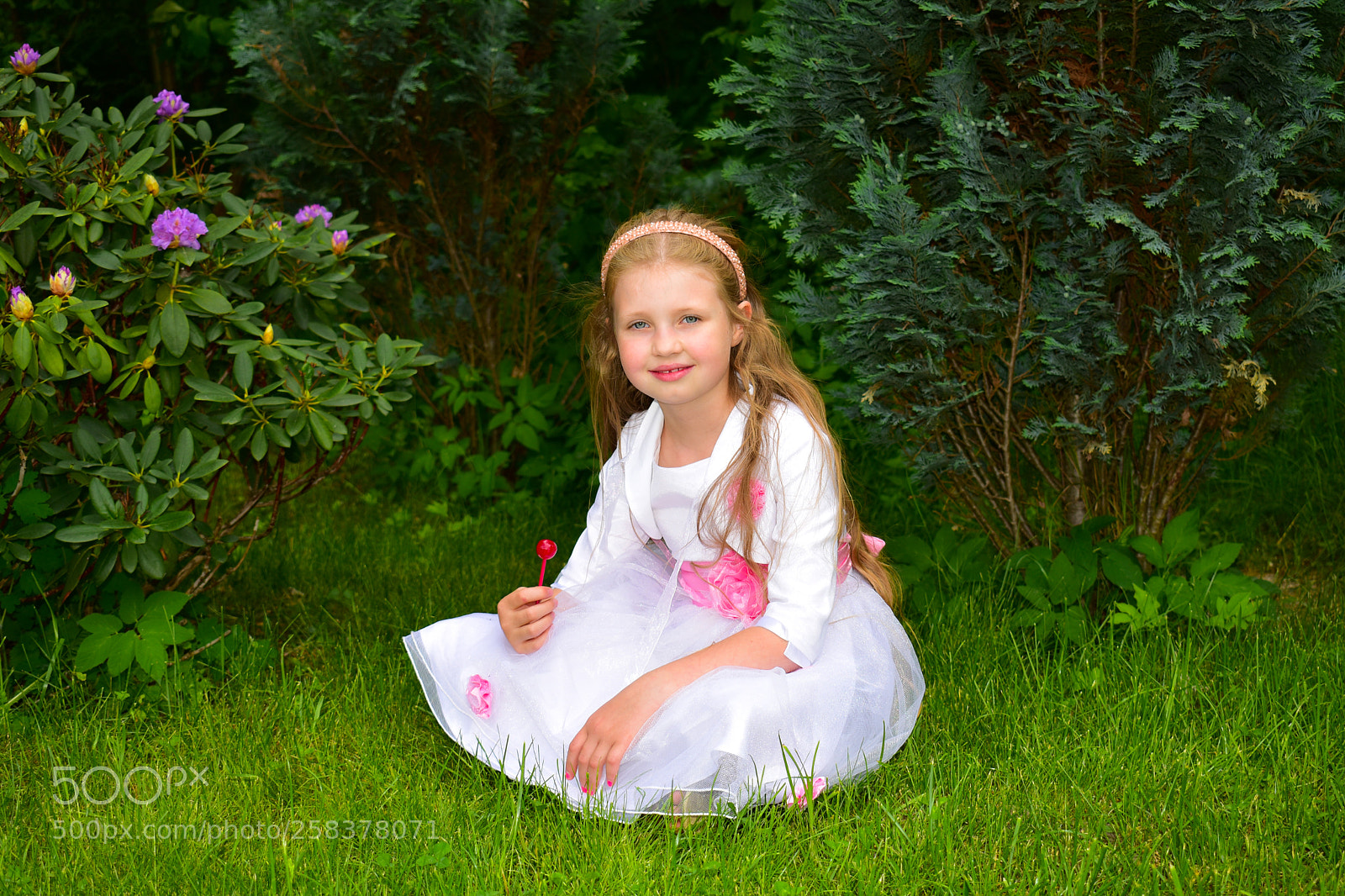 Nikon D5600 sample photo. Dsc photography