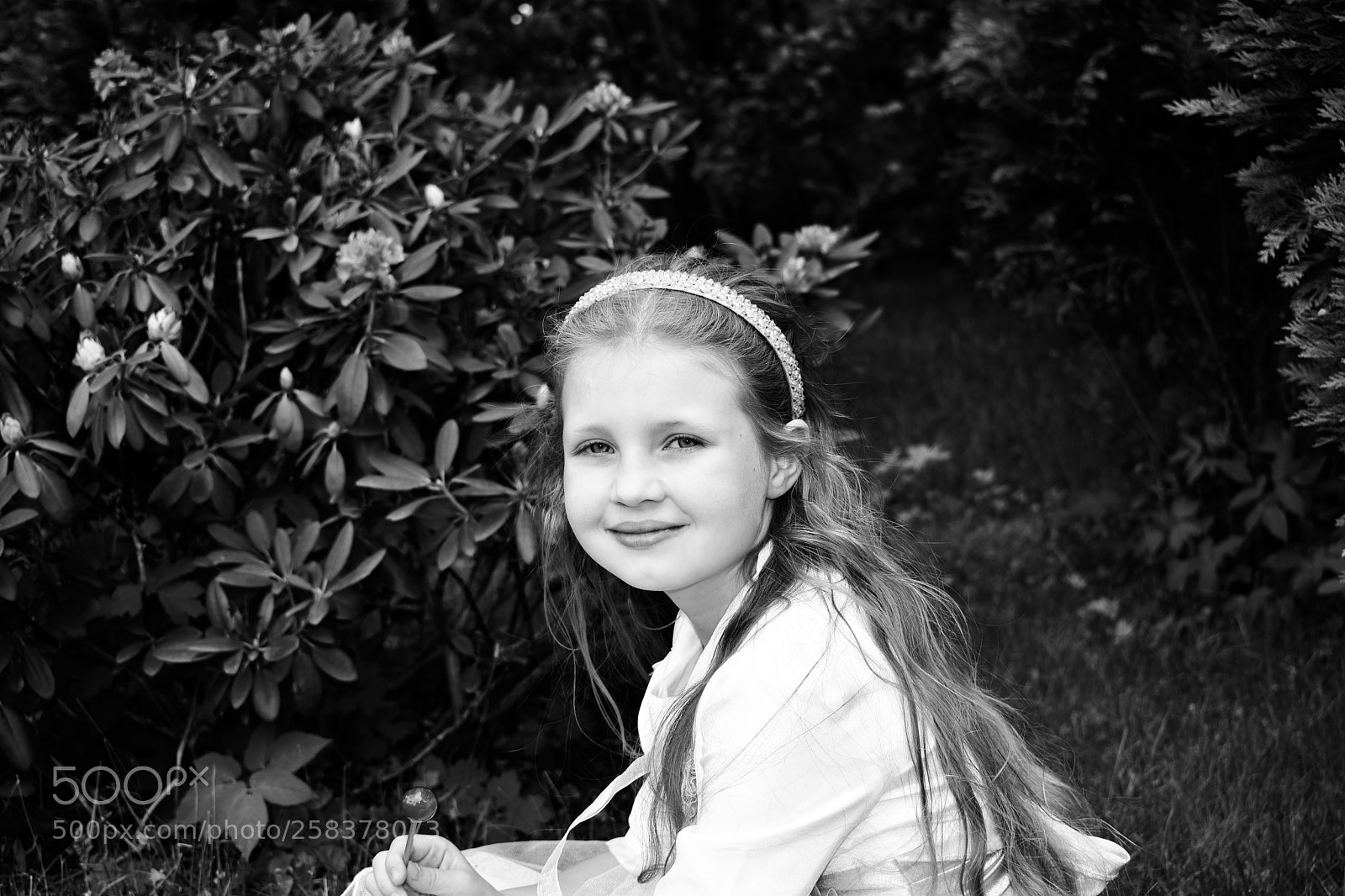 Nikon D5600 sample photo. Dsc photography