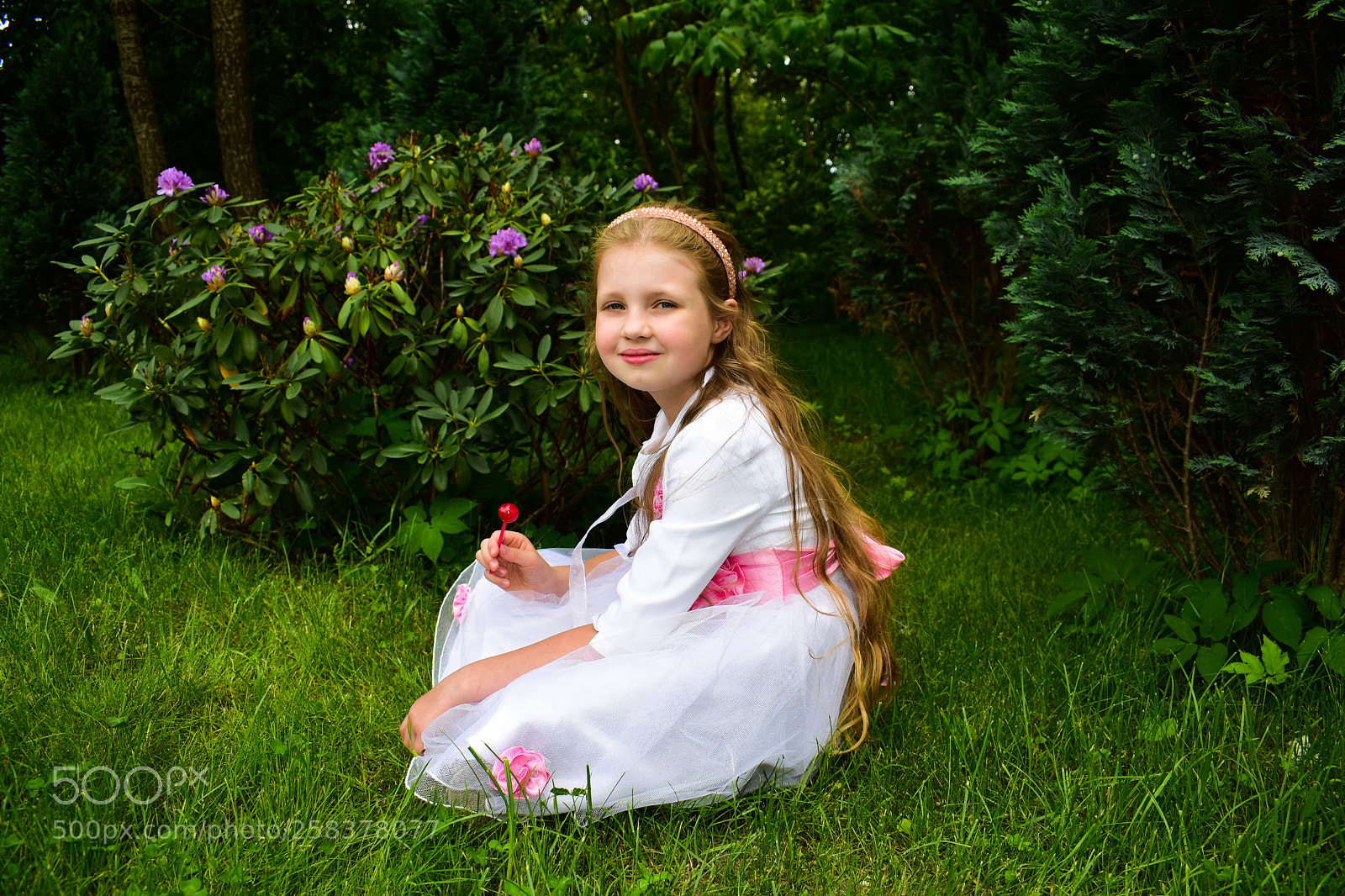 Nikon D5600 sample photo. Dsc photography