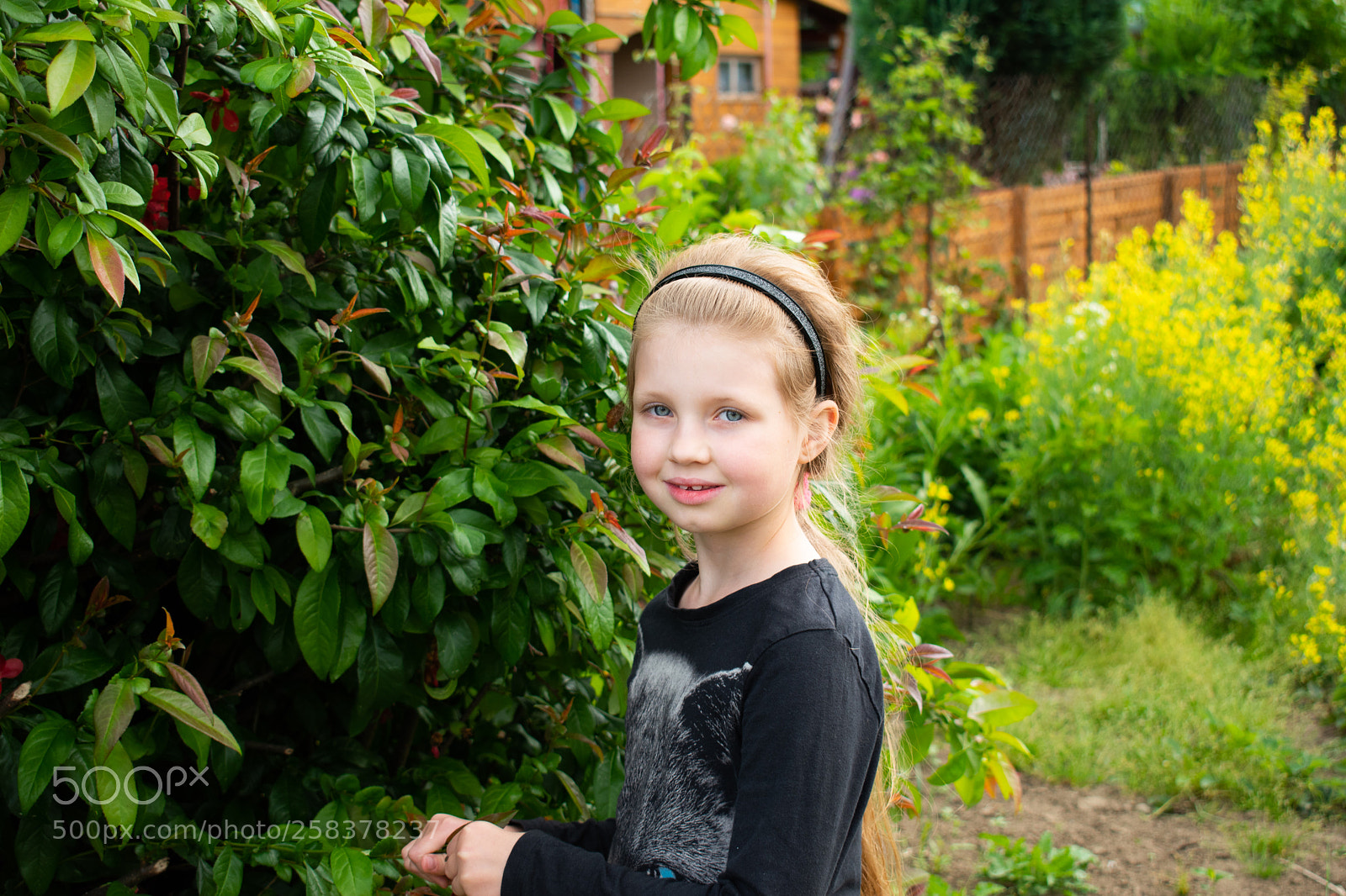 Nikon D5600 sample photo. Dsc photography