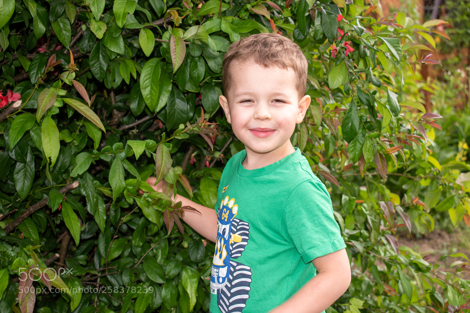 Nikon D5600 sample photo. Dsc photography