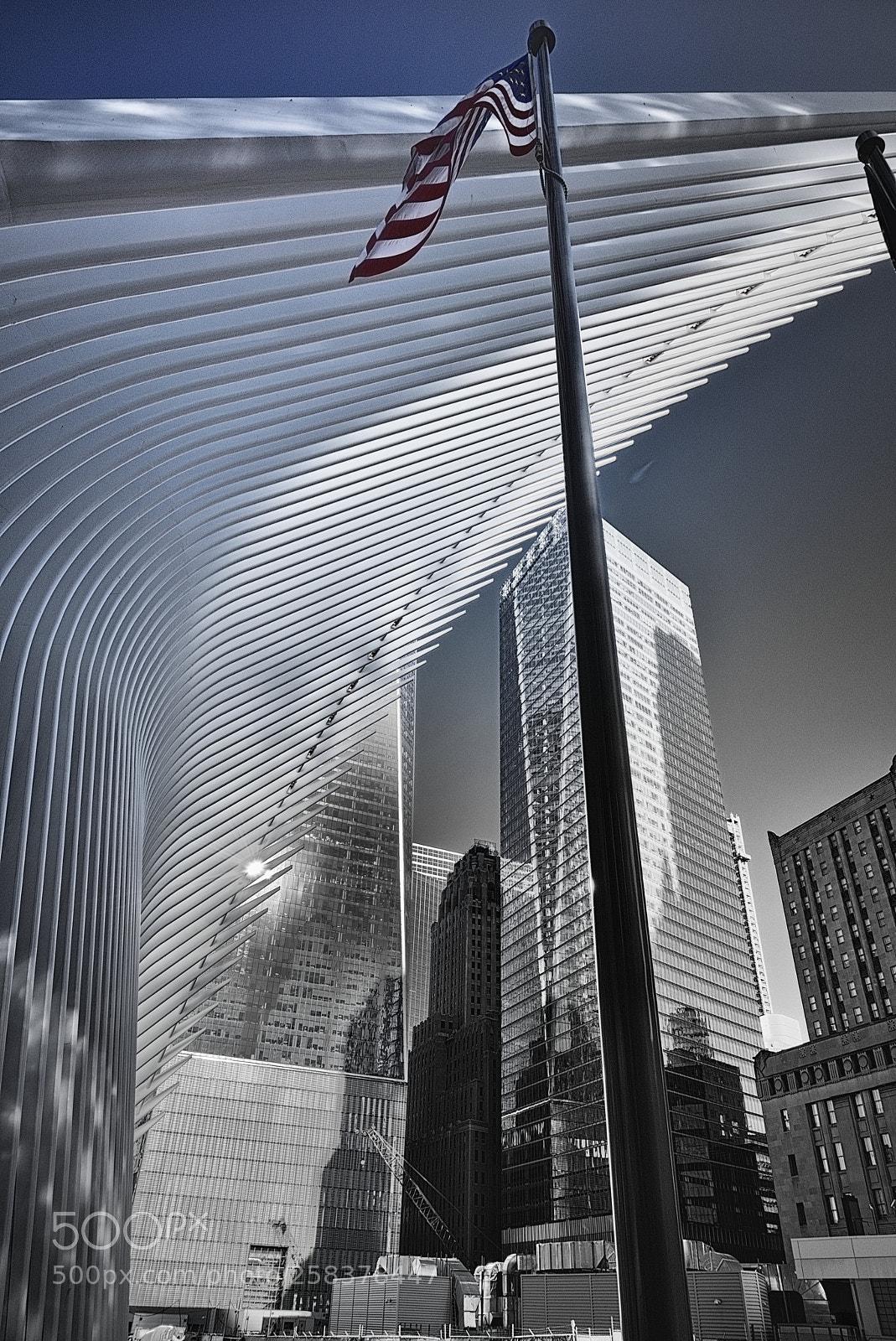Nikon D810 sample photo. The oculus photography