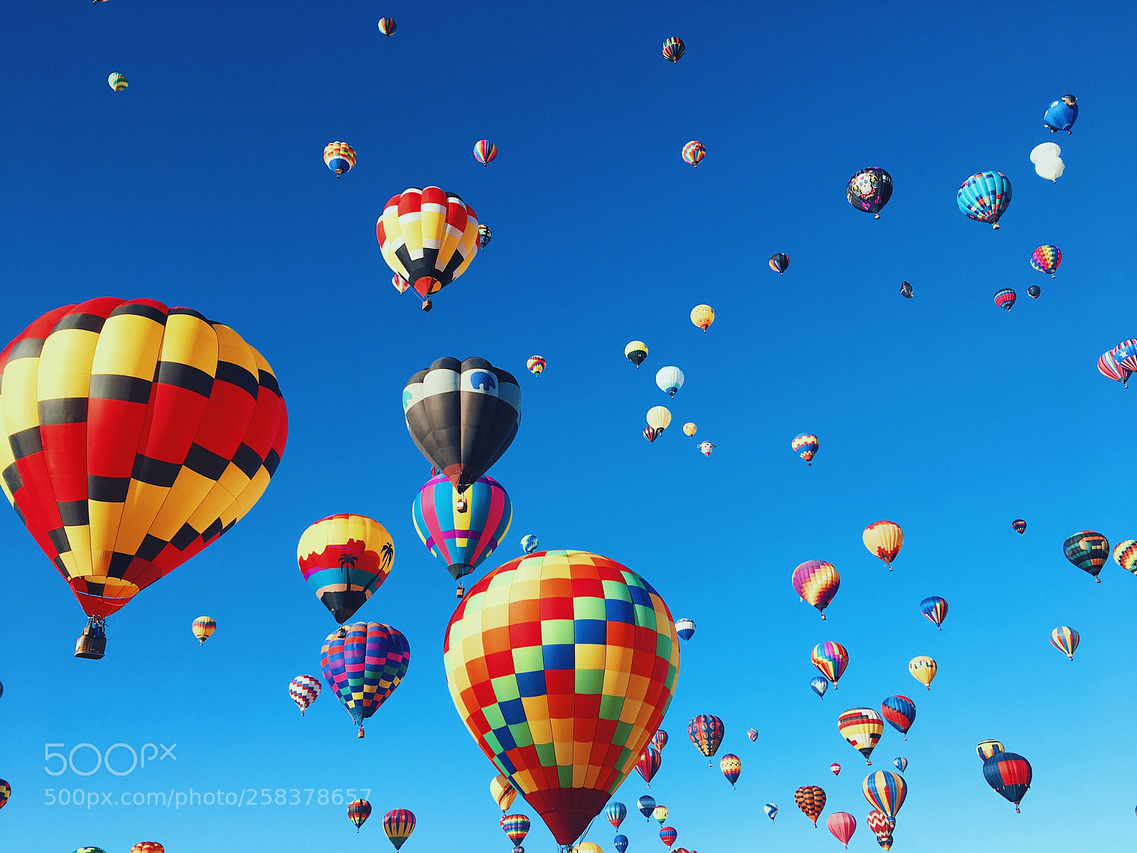 Apple iPhone 6s sample photo. Many balloons photography