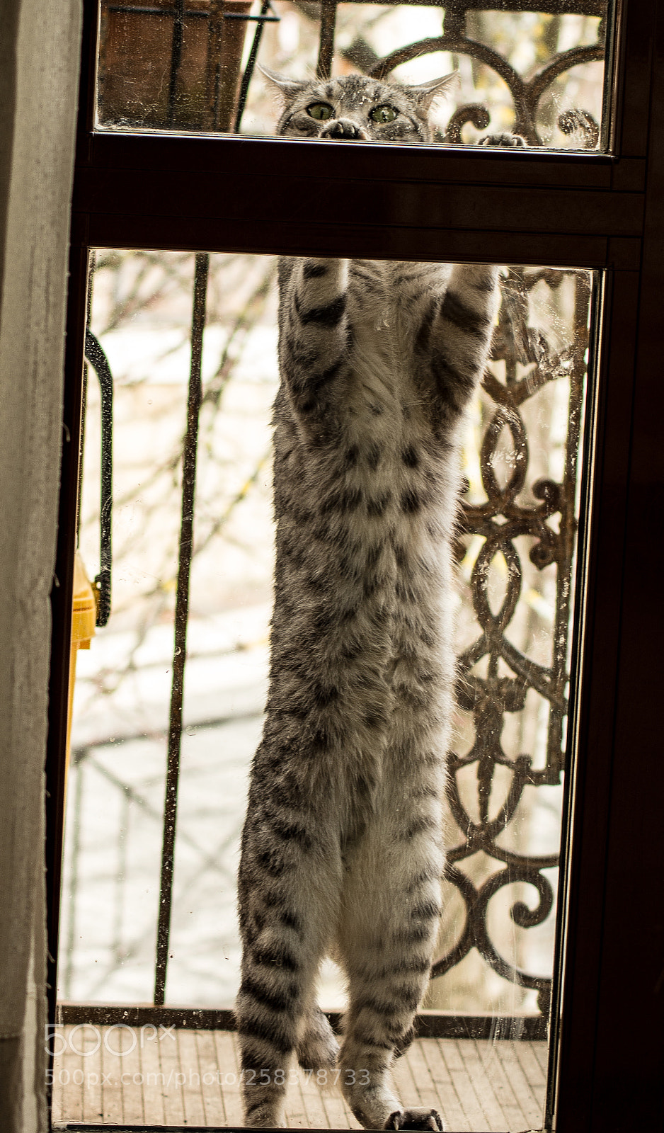 Nikon D7200 sample photo. Untitled photography