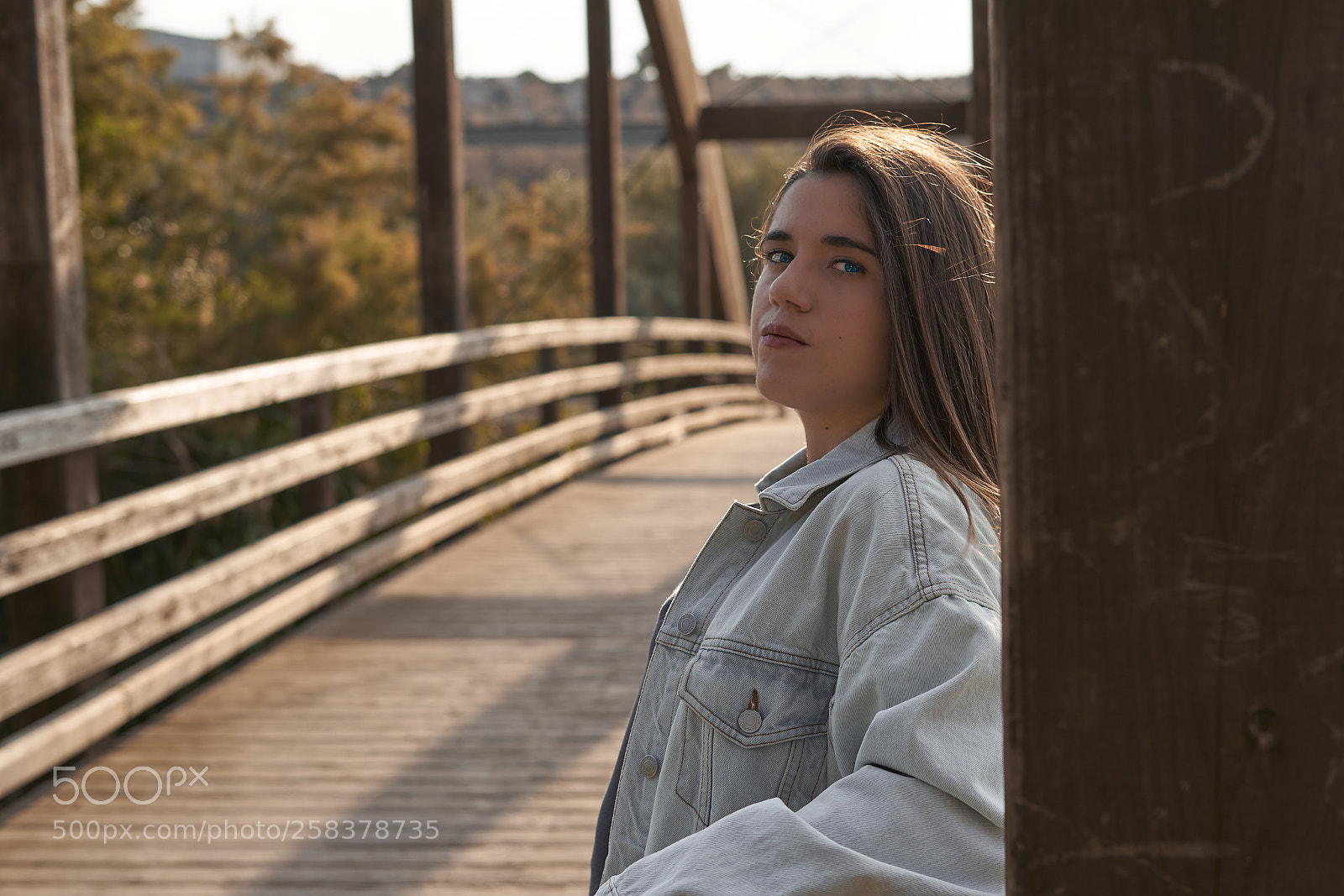Sony a7 sample photo. Untitled photography