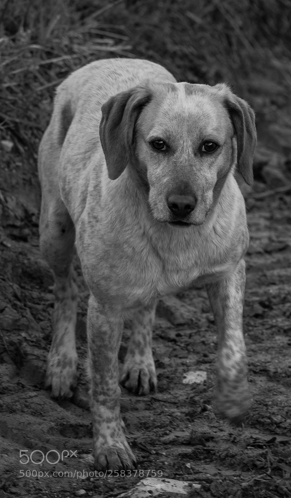 Nikon D7200 sample photo. Untitled photography