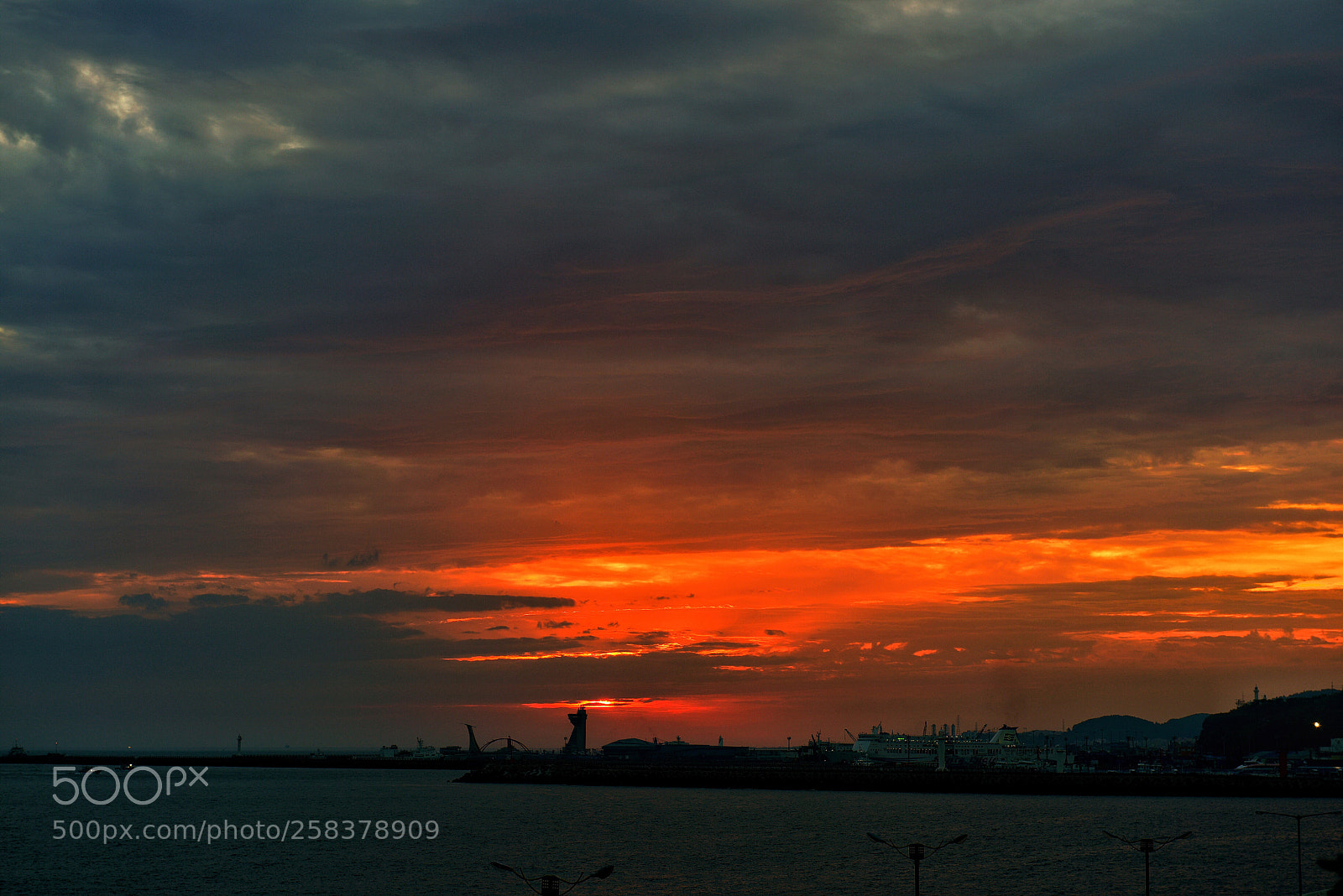 Nikon D810 sample photo. Untitled photography