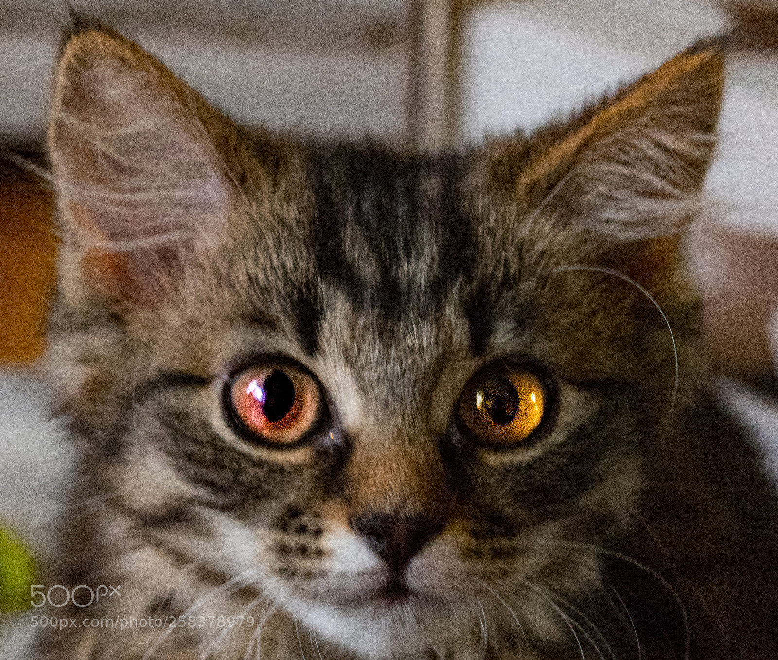 Nikon D5600 sample photo. Dsc photography