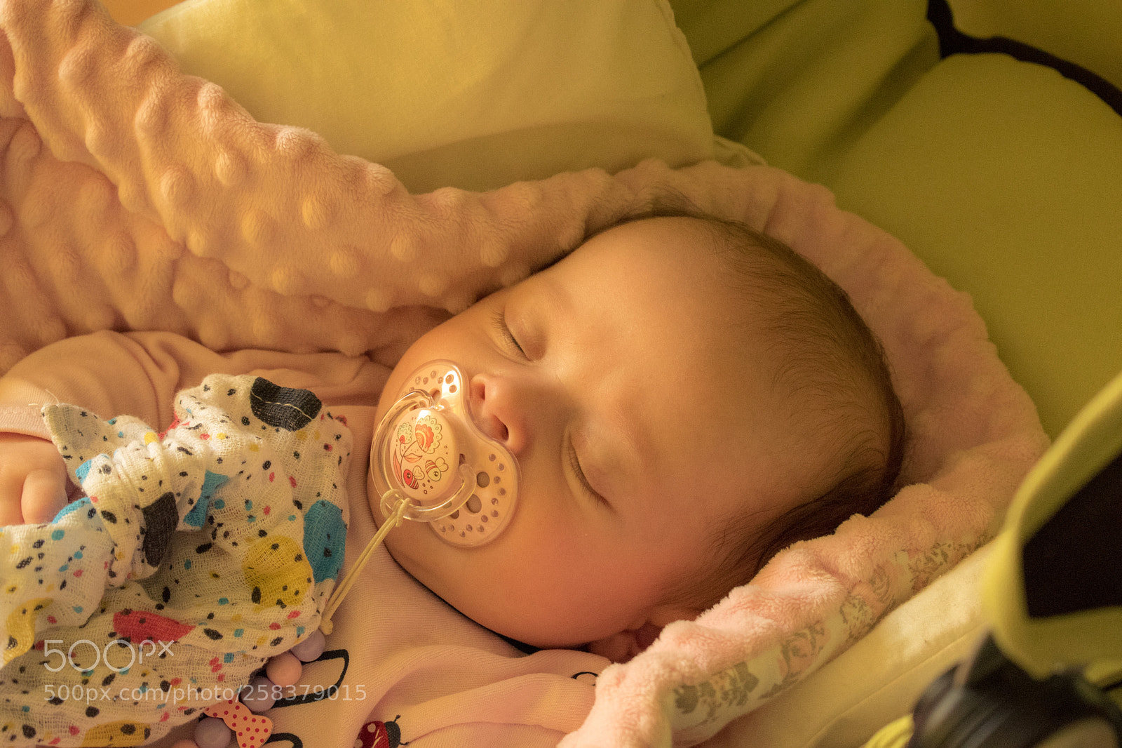 Nikon D5600 sample photo. Dsc photography