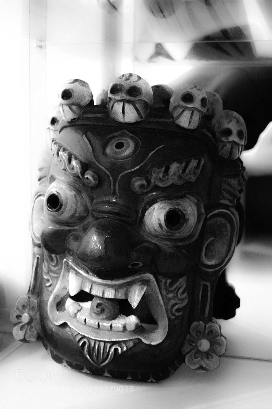 Nikon D5600 sample photo. Dsc photography