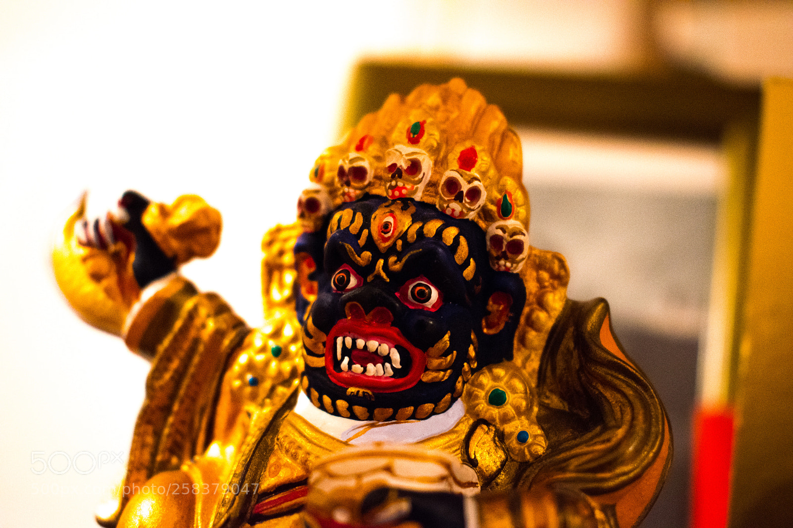 Nikon D5600 sample photo. Dsc photography