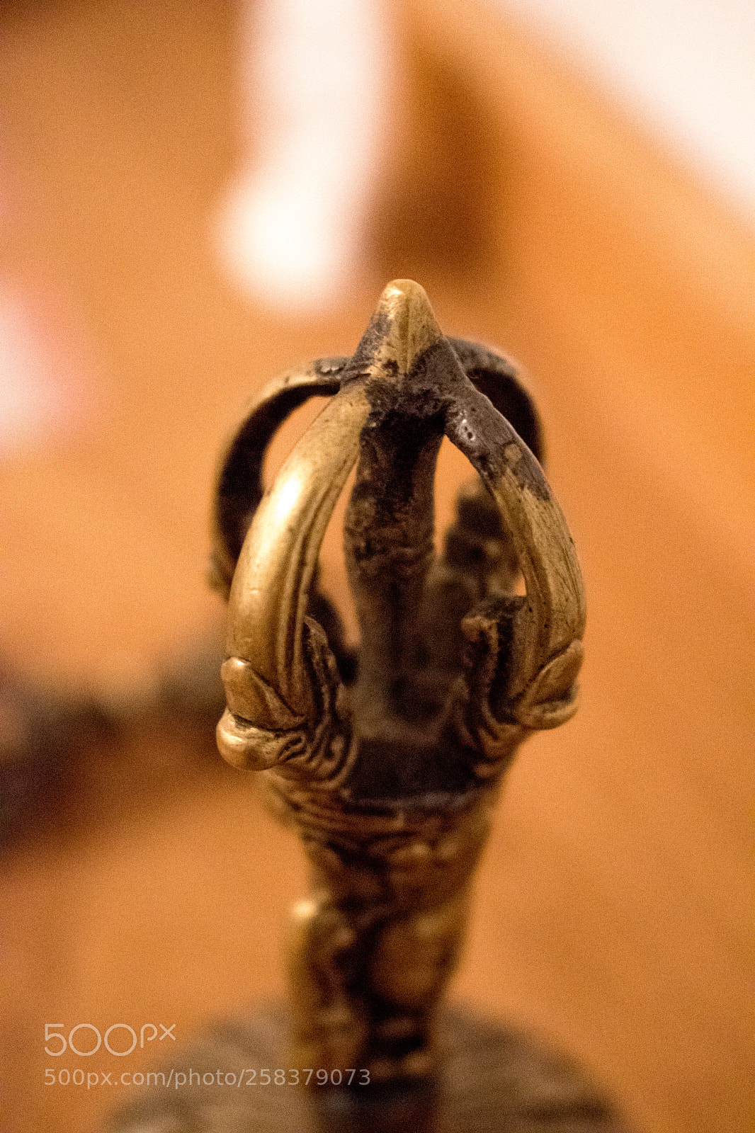 Nikon D5600 sample photo. Dsc photography