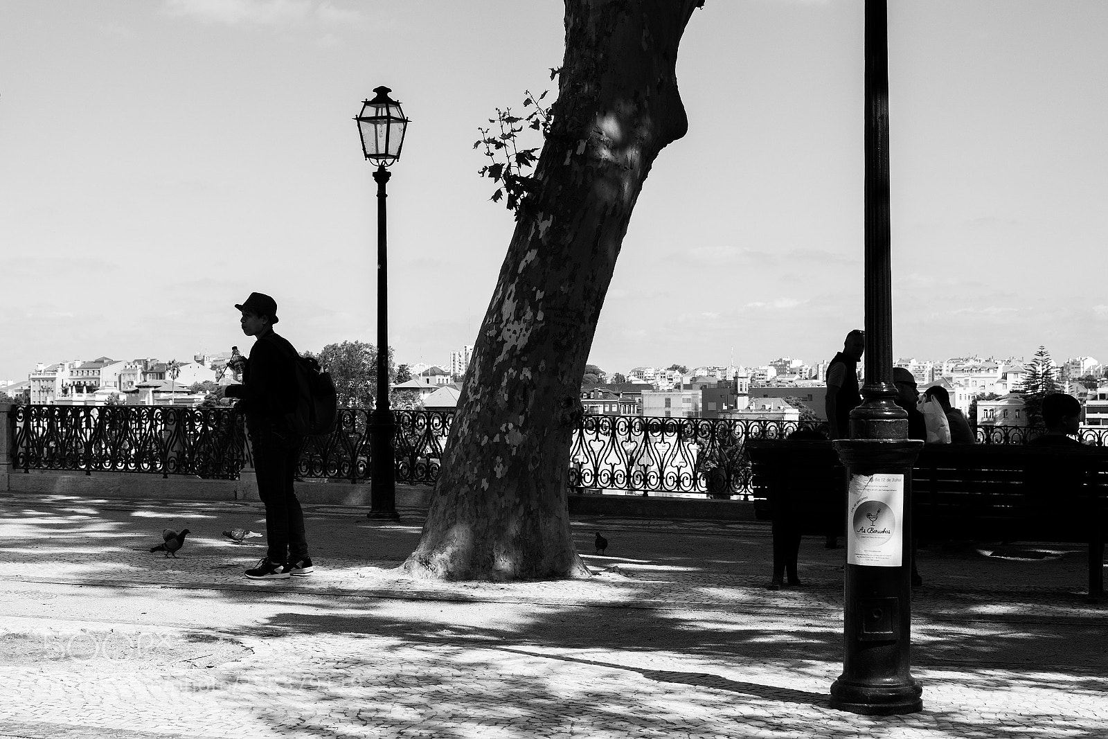 Nikon D7200 sample photo. Shadows with a view photography