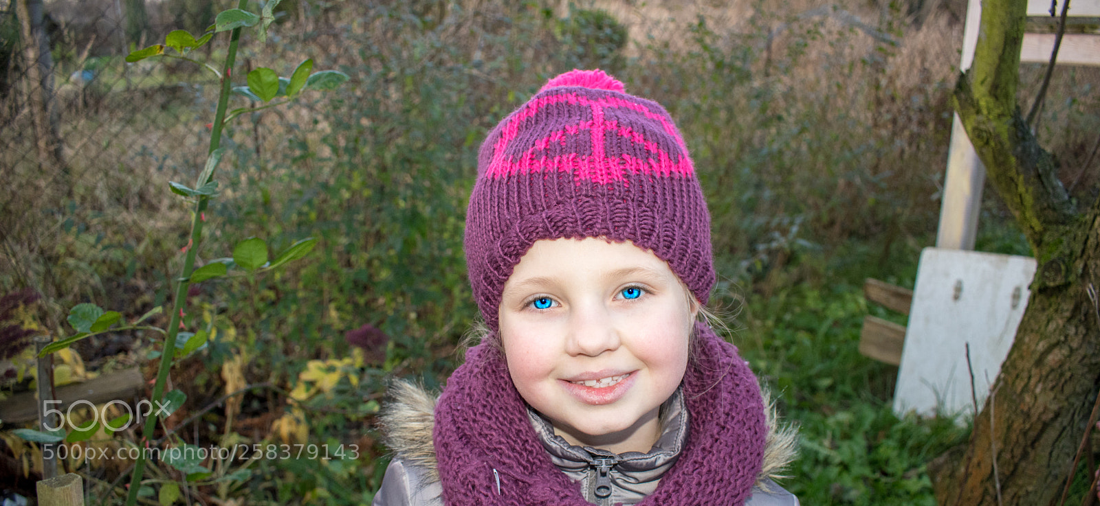 Nikon D5600 sample photo. Dsc photography
