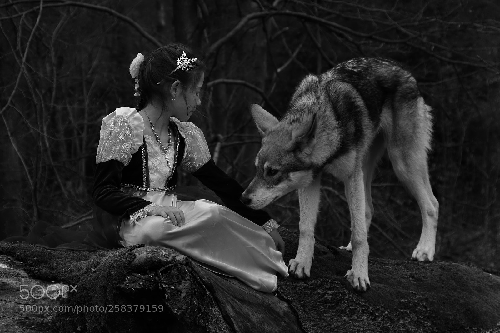 Canon EOS 7D Mark II sample photo. A princess photography