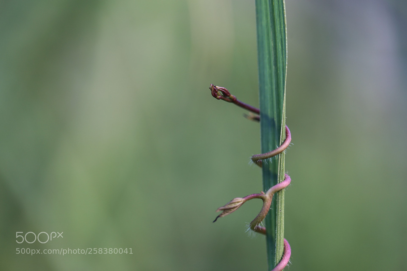 Canon EOS 6D sample photo. Untitled photography