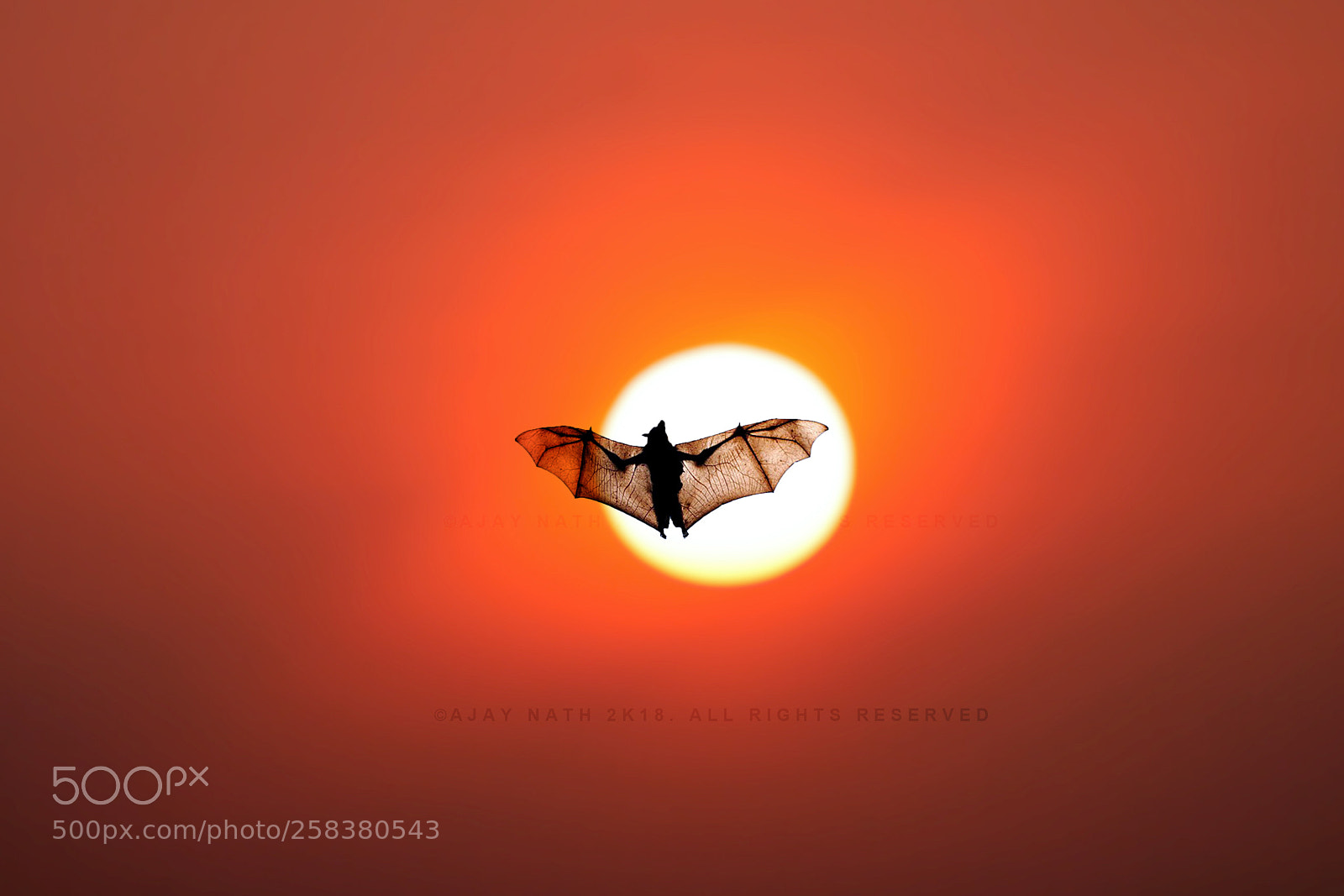Canon EOS 1100D (EOS Rebel T3 / EOS Kiss X50) sample photo. Batman rises photography