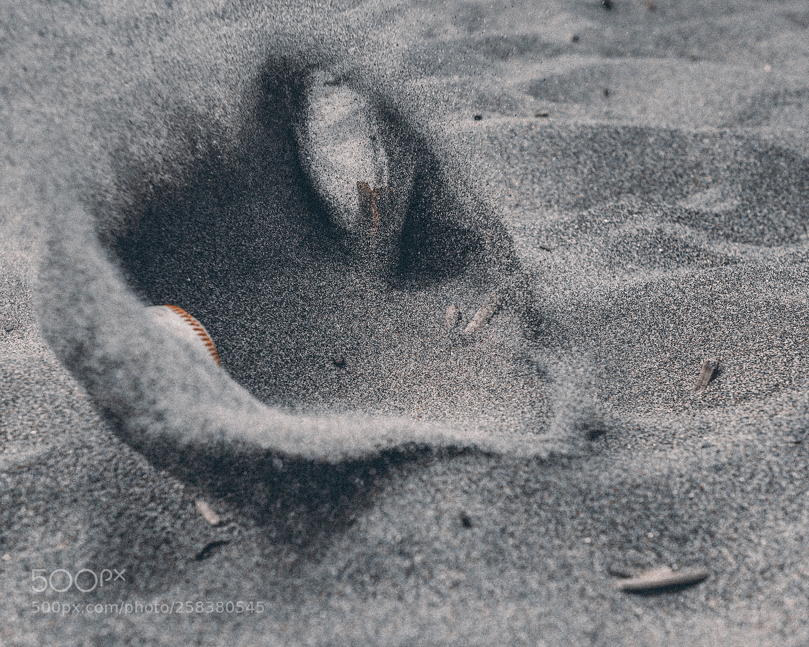 Nikon D750 sample photo. Impact photography