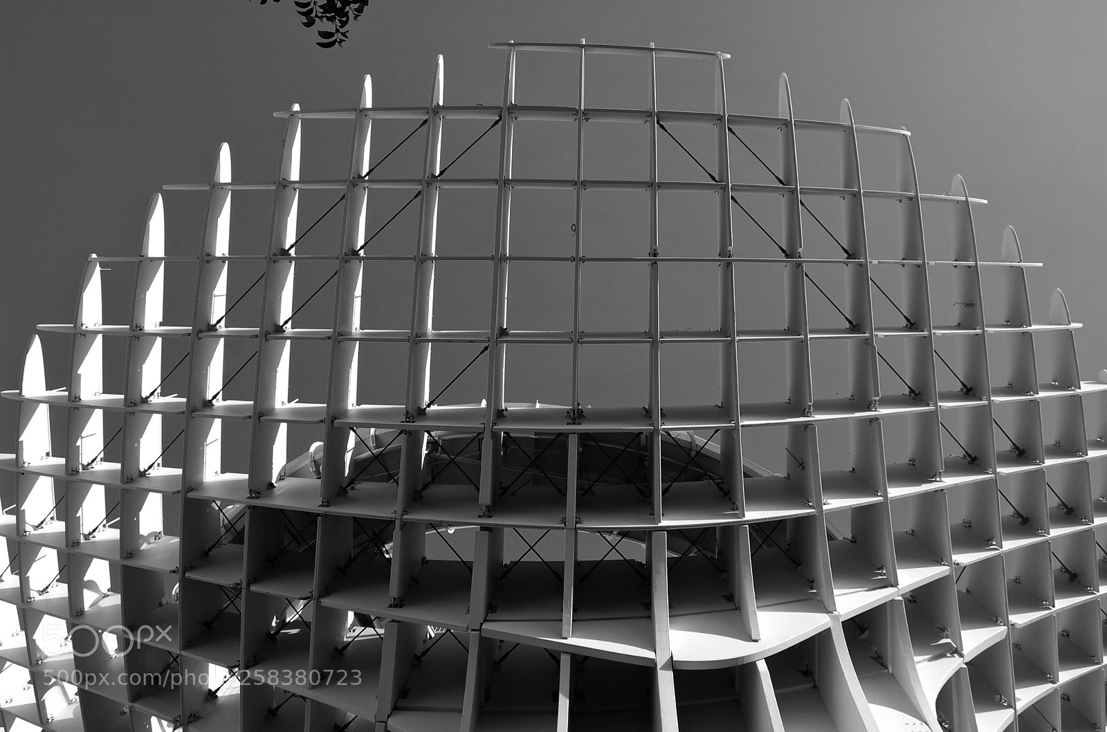 Nikon D40 sample photo. Rejilla photography