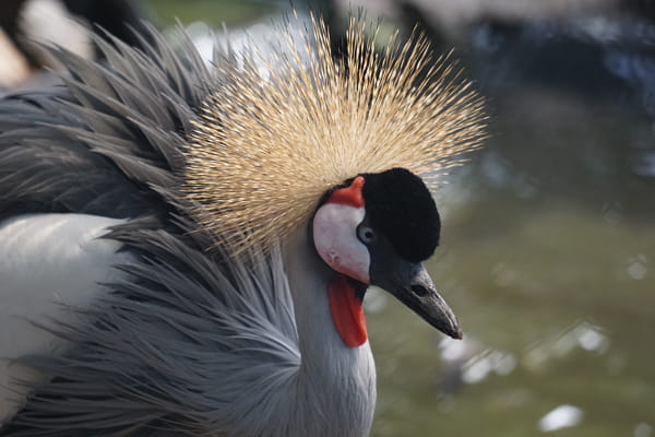 Sony Ilce 5100 Sony Fe 24 240mm F3 5 6 3 Oss Sample Photos Explorecams