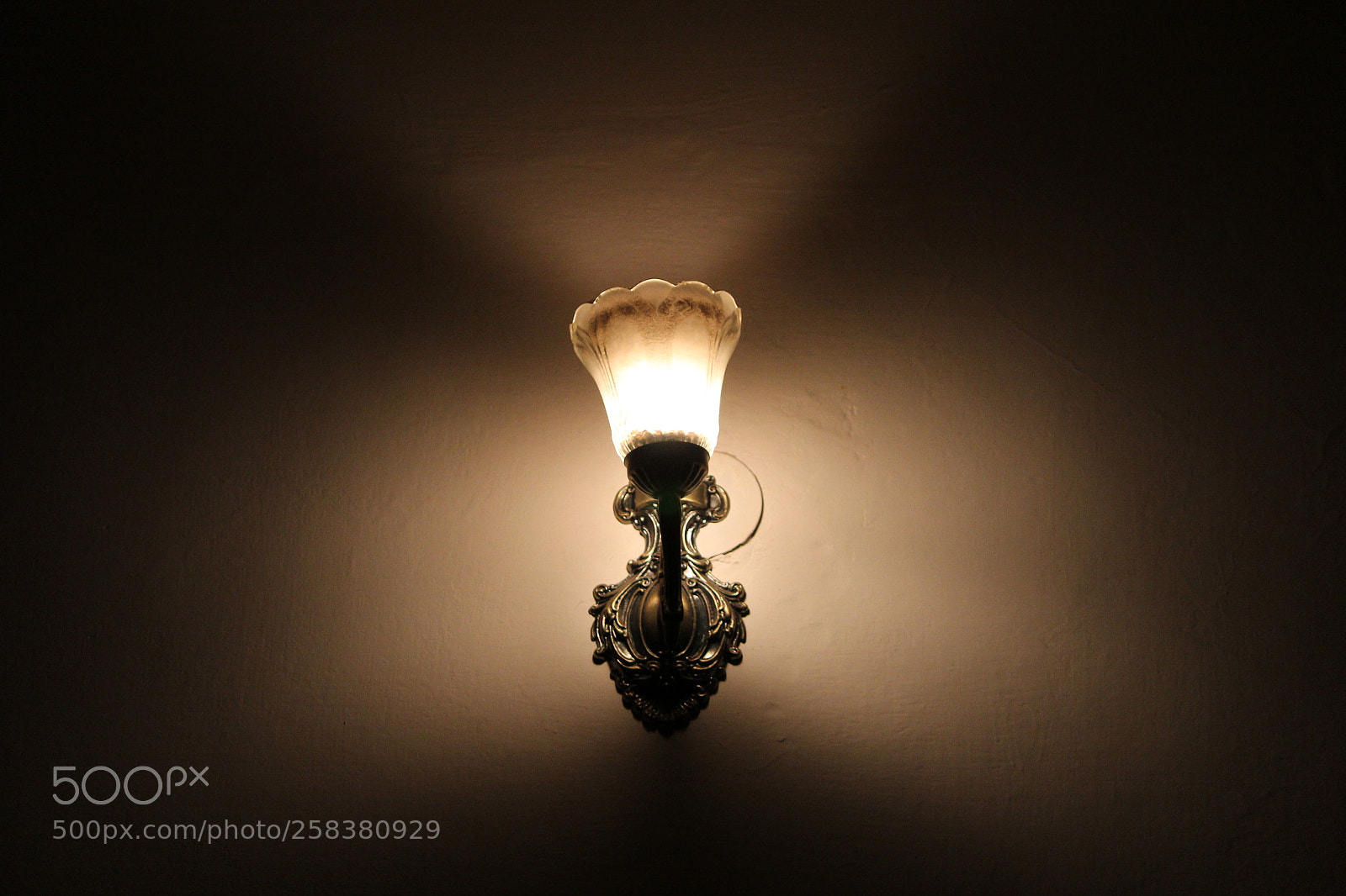 Canon EF-S 55-250mm F4-5.6 IS II sample photo. Img photography