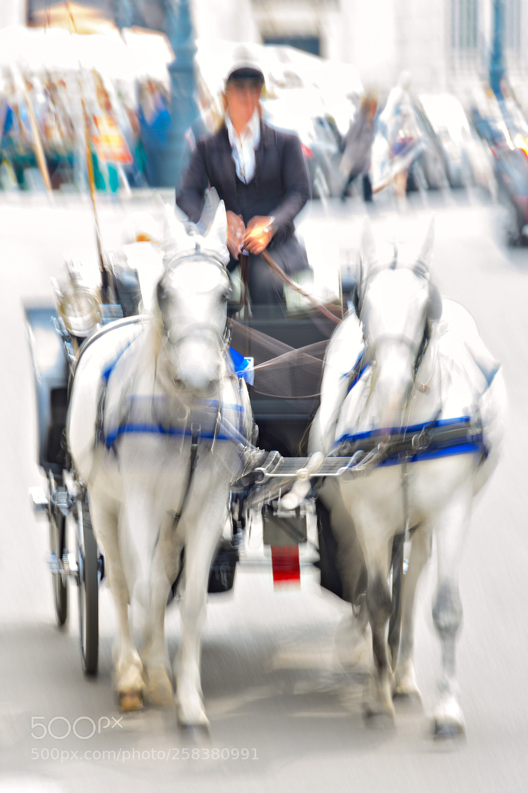 Nikon D500 sample photo. Off we go! photography