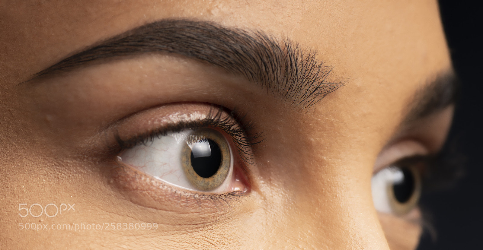 Nikon D800 sample photo. Closeup of an eyelashes. photography