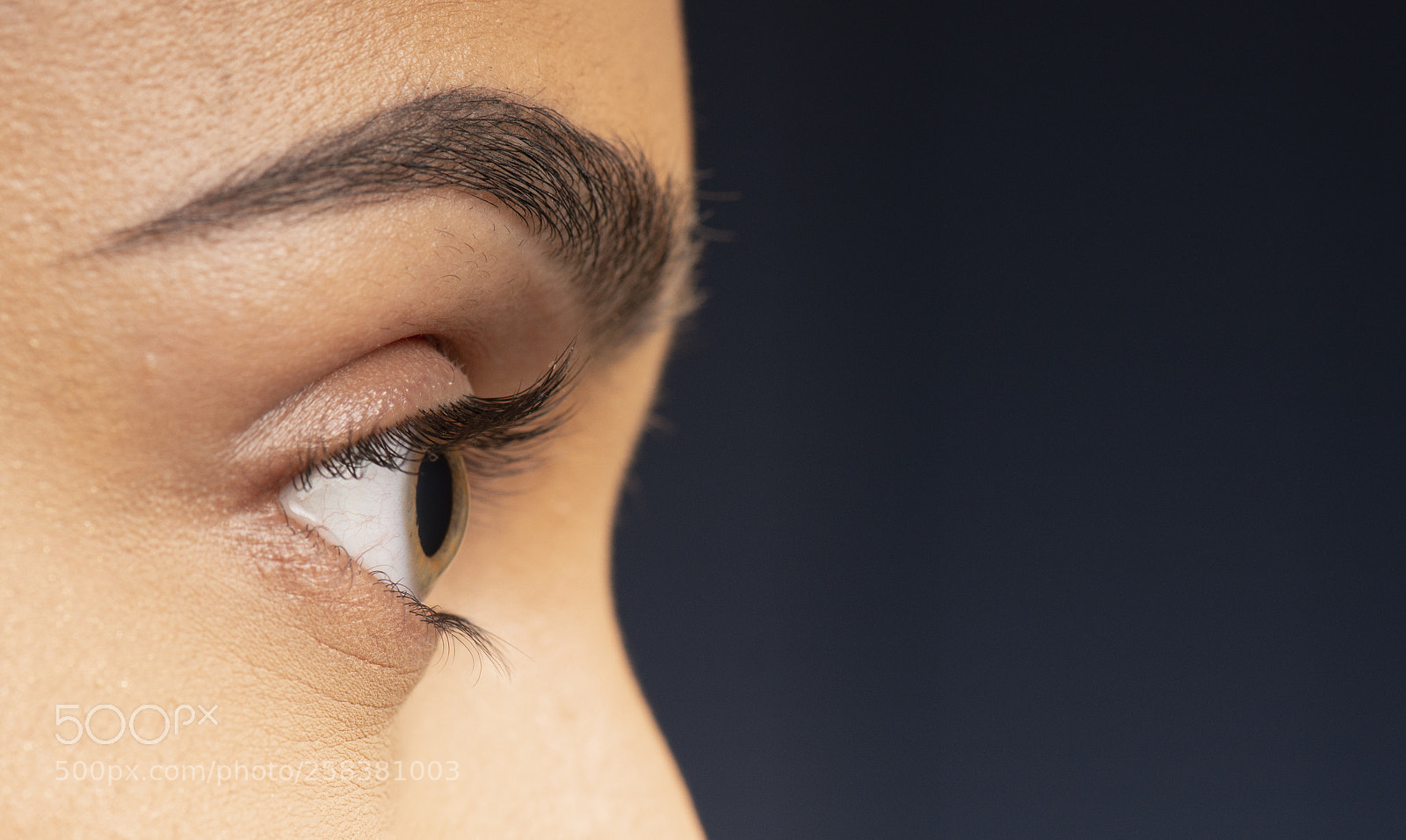 Nikon D800 sample photo. Closeup of an eyelashes. photography