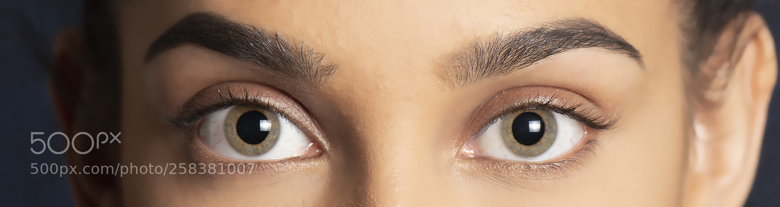 Nikon D800 sample photo. Closeup of an eyelashes. photography