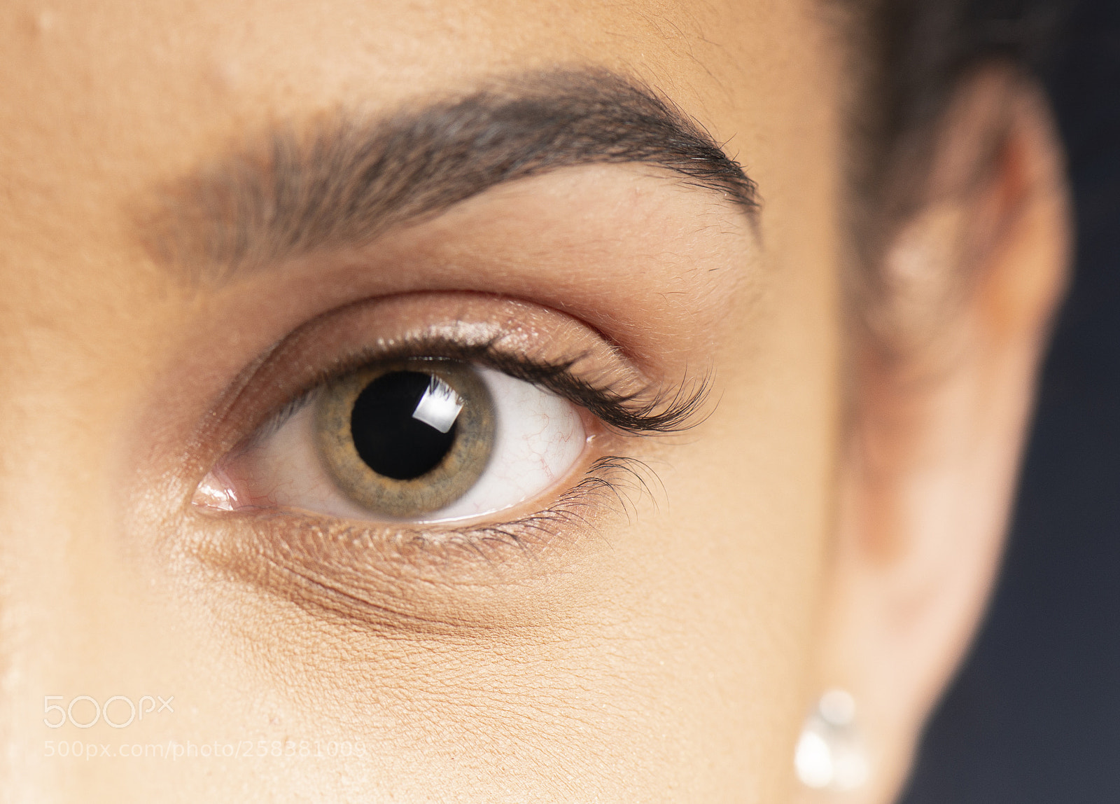 Nikon D800 sample photo. Closeup of an eyelashes. photography